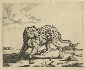 Leopar, ayakta solda, başı sağda Leoparlar (dizi adı) by Marcus de Bye