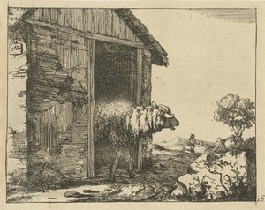 Koyun ağılı Koyun (dizi başlığı) by Marcus de Bye