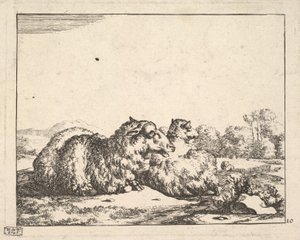 Koyun, 16 tabaklık bir setten, 1664. by Marcus de Bye