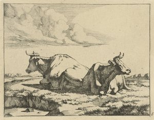 iki yalancı inek İnekler ve Koyunlar (dizi adı) by Marcus de Bye