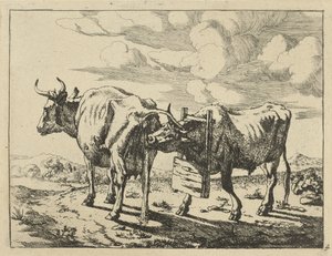 İki ayakta inek İnekler ve Koyunlar (dizi adı) by Marcus de Bye