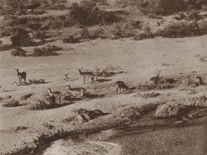 su deliği