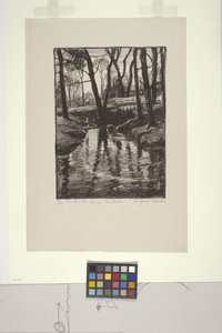 The Brook in Spring, Pine Manor (litho) by Margaret Jordan Patterson