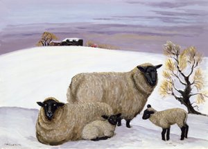 Kışın Koyun by Margaret Loxton