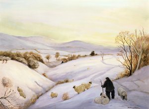 Sırttaki koyunlar by Margaret Loxton