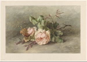 güller by Margaretha Roosenboom