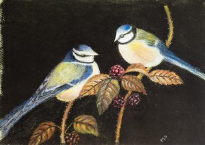 Mavi göğüsler bayram yapıyor, 2021 (pastel)