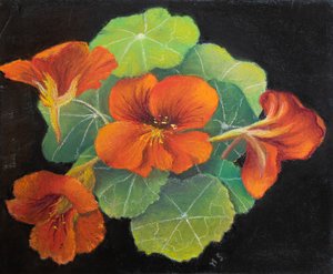 Nasturtiumlar, 2020 (pastel) by Margo Starkey
