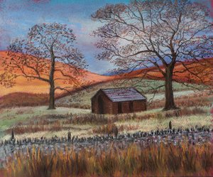 Vahşi doğada çoban kulübesi by Margo Starkey