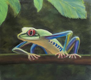 Ağaç kurbağası, 2020 (pastel) by Margo Starkey