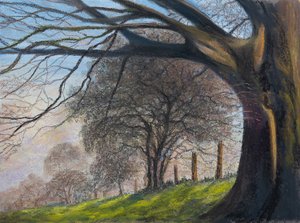 Rüzgarla savrulan ağaçlar..Shroesbury, 2020 (pastel) by Margo Starkey