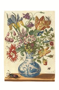  by Maria Sibylla Graff Merian
