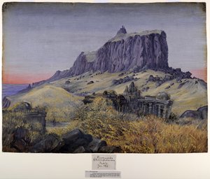 yel değirmeni by Marianne North