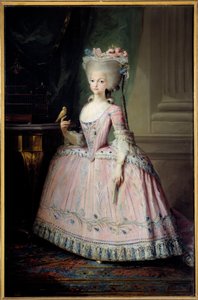 Ayakta portre Carlota Joaquina (1775-1830) Infante of Spain ve Portekiz Kraliçesi Resim Mariano Maella (1739-1819) (ec.esp.) 18. yüzyıl Güneşi. 1,77x1,16 m Madrid, Prado Müzesi - Carlota Joaquina