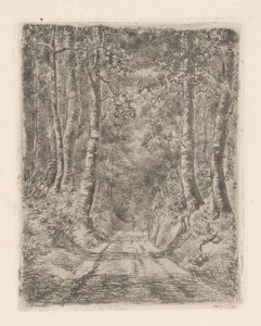 Batık bir yol boyunca orman by Marie Adolphine van der Goes van Dirxland