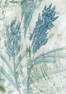  by Marina Falco
