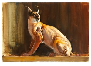 Arabian Caracal, 2010 (kağıt üzerine yağlı boya) by Mark Adlington