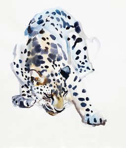 Arap Leoparı, 2008 by Mark Adlington