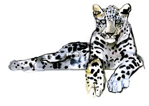 Arap Leoparı, 2008 by Mark Adlington