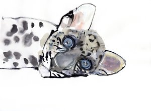 Arap Leoparı, 2008 by Mark Adlington