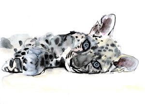 Arap Leoparı Yavrusu, 2008 by Mark Adlington