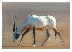 Arabian Oryx, 2010 (kağıt üzerine yağlı boya) by Mark Adlington