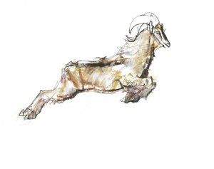 Arabian Tahr, 2009 (kağıt üzerinde conte ve kömür) by Mark Adlington
