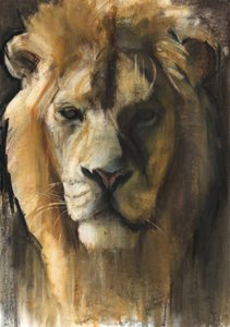 Asiatic Lion, 2015, (kağıt üzerinde pigment, pastel ve conté)