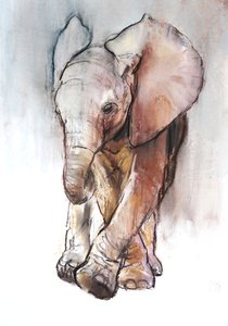 Bebek Fil 2, Loisaba, 2018 by Mark Adlington