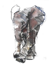 Bebek Fil Çalışması, 2018 by Mark Adlington