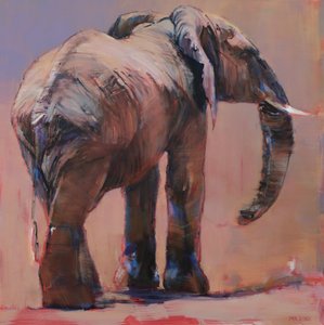 Arkada, Loisaba, 2018 by Mark Adlington