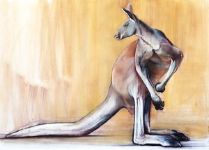Büyük Kırmızı (Kanguru), 2014 by Mark Adlington
