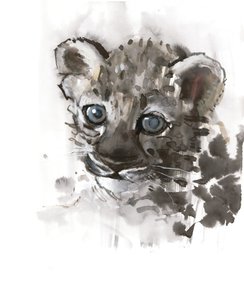 Mavi Gözlü (Arap Leoparı Yavrusu), 2008 by Mark Adlington