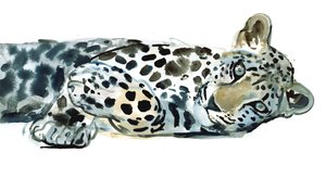 Kırık Siesta, 2015, (kağıt üzerine sulu boya) by Mark Adlington