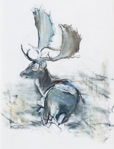 Buck in the Grass, 2006 (kağıt üzerinde kömür und conte) by Mark Adlington