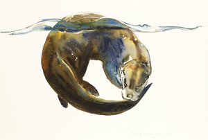 Hayat çemberi, 2014, (kağıt üzerine suluboya) by Mark Adlington