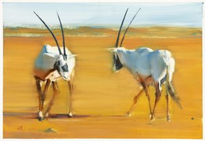 Circling Arabian Oryx, 2010 (kağıt üzerinde yağlı boya) by Mark Adlington