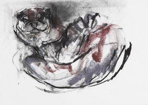 Köpek Otter (kağıt üzerinde kömür ve conte) by Mark Adlington