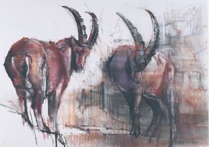 Aşağıya Bakma (kağıt üzerinde kömür ve conte) by Mark Adlington