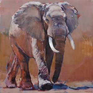 Kuru Sezon, Loisaba, 2018 by Mark Adlington