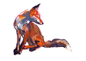 Elegant Youngster (kızıl tilki), 2021 by Mark Adlington
