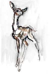 Gerenuk açık kahverengi, Sarara, 2018 by Mark Adlington