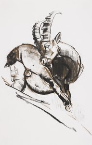 Tırmalama (kağıt üzerinde kömür ve conte) by Mark Adlington