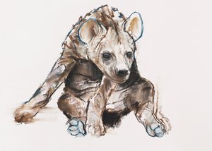 Hyaena Pup (baş aşağı), 2019 by Mark Adlington