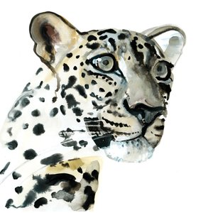 Niyet, 2015 by Mark Adlington