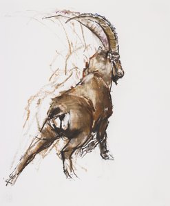 Bacak Germe (kağıt üzerinde kömür ve conte) by Mark Adlington