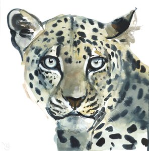 Leopar, 2015, (kağıt üzerine sulu boya) by Mark Adlington