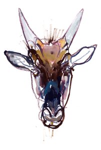 Küçük Şeytan (yaban arısı), 2022 by Mark Adlington