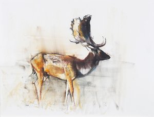 Magnificent Fallow Buck, 2006 (kağıt üzerinde kömür ve conte) by Mark Adlington