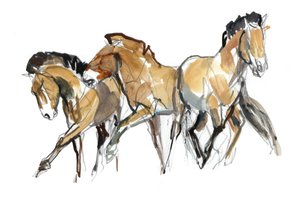 Mistral Three (Przewalski), 2013 (sennelier mürekkebi, sulu boya ve guaj)
